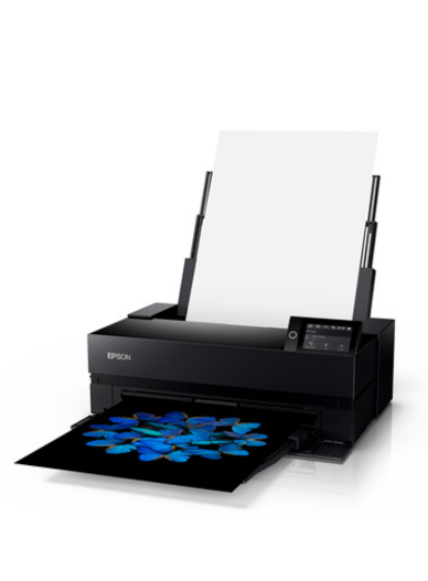 Epson SureColor SC-P900 professional Photo Printer